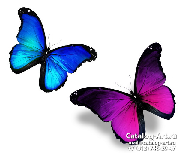  Butterflies 75